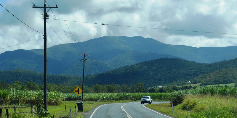 DSC_0006.JPG - Approaching Bowen; sugar cane plantations