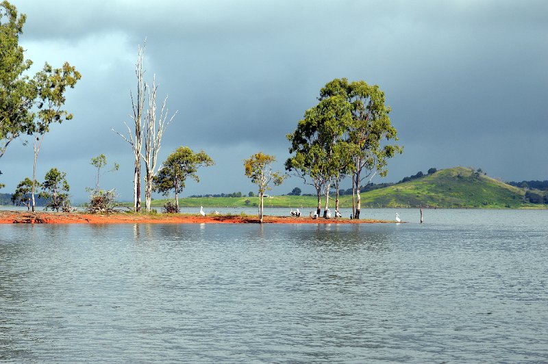 DSC_0029a.JPG - At Tinaroo - Lake Tinaroo