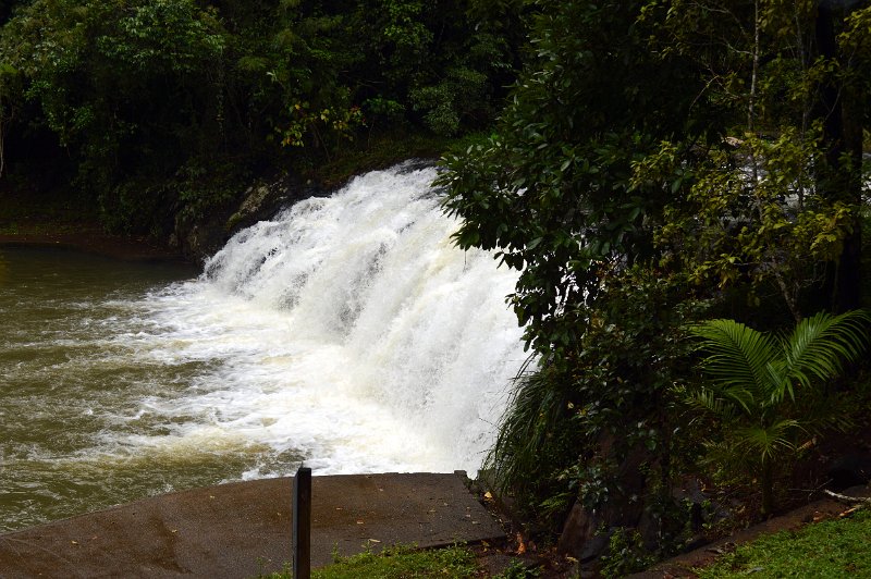 DSC_0083.JPG - Malanda Falls