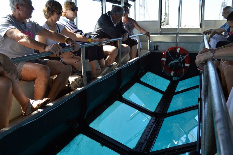 DSC_0055.JPG - Moore Reef pontoon - glass bottom boat