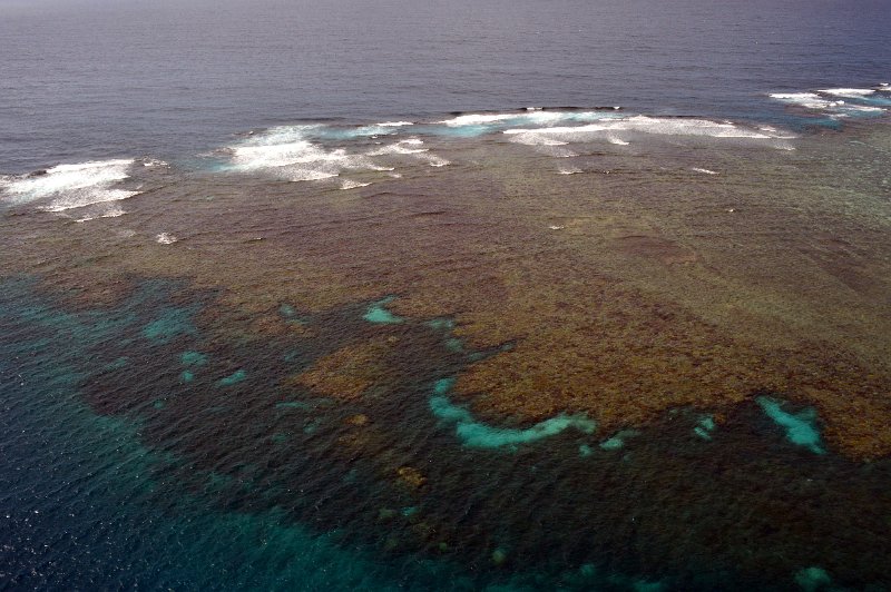DSC_0099.JPG - Moore Reef - chopper flight