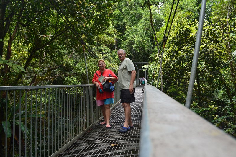 DSC_0068a.JPG - Mossman Gorge - Rex Creek suspension bridge