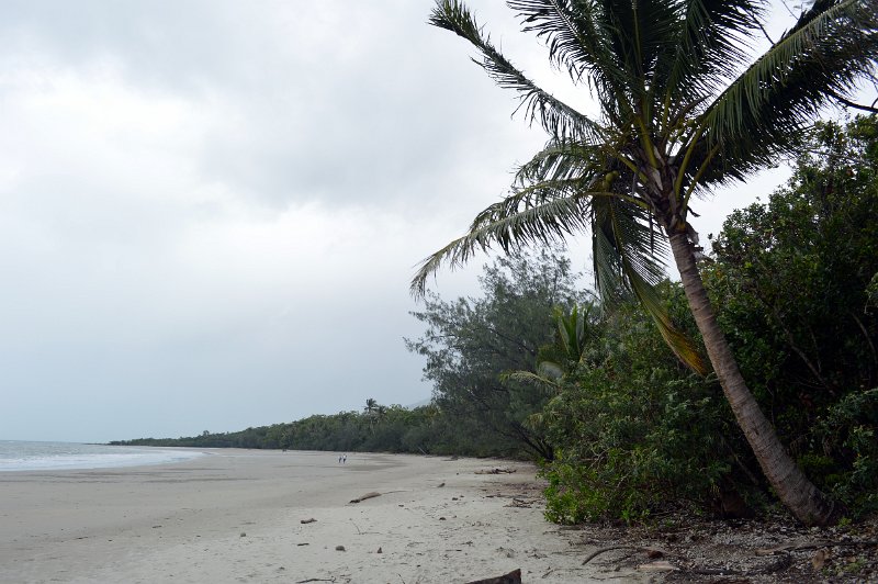 DSC_0142.JPG - Daintree Coast - Cape Tribulation