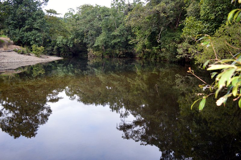 DSC_0210.JPG - Daintree Coast - On the Bloomfield Track