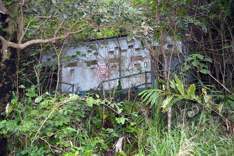 DSC_0104.JPG - Cassowary Coast - Etty Bay abandoned facilities shed