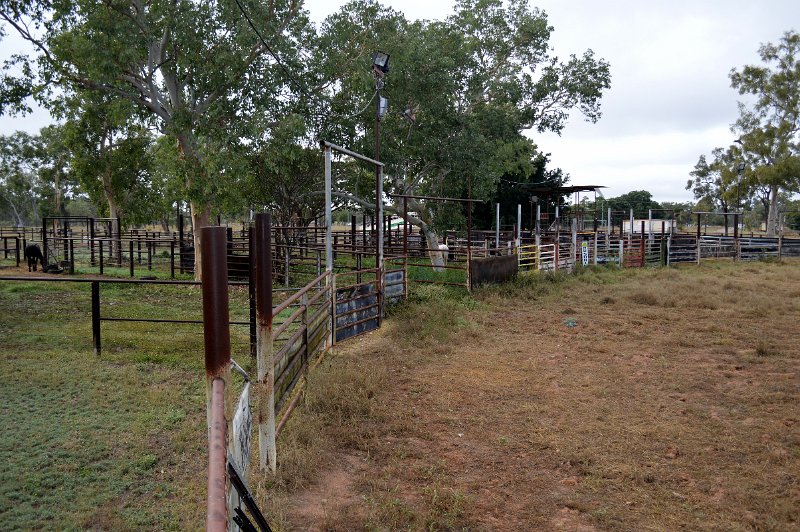 DSC_0014d.JPG - Showgrounds beside the Greenvale caravan park
