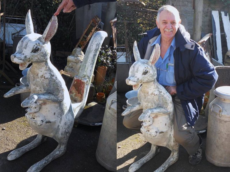 Kangaroo.jpg