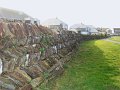 DSC00977