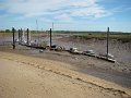 DSC01877