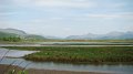 DSC02620
