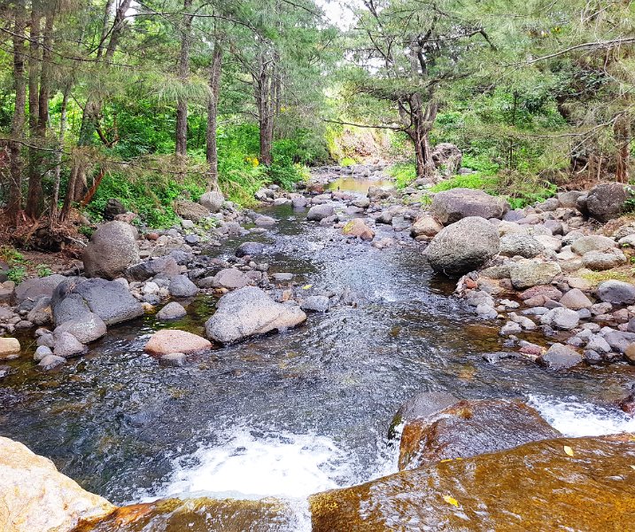 PanWW07.JPG - Albert River near "Lost World"Albert River near "Lost World"
