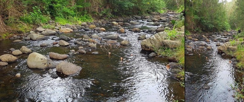 WayWorld5.jpg - Albert River near "Lost World"